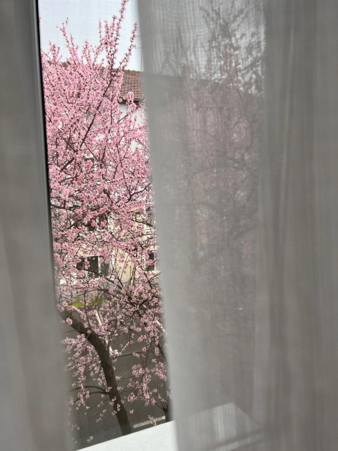 Caris Home Hunedoara Zewnętrze zdjęcie